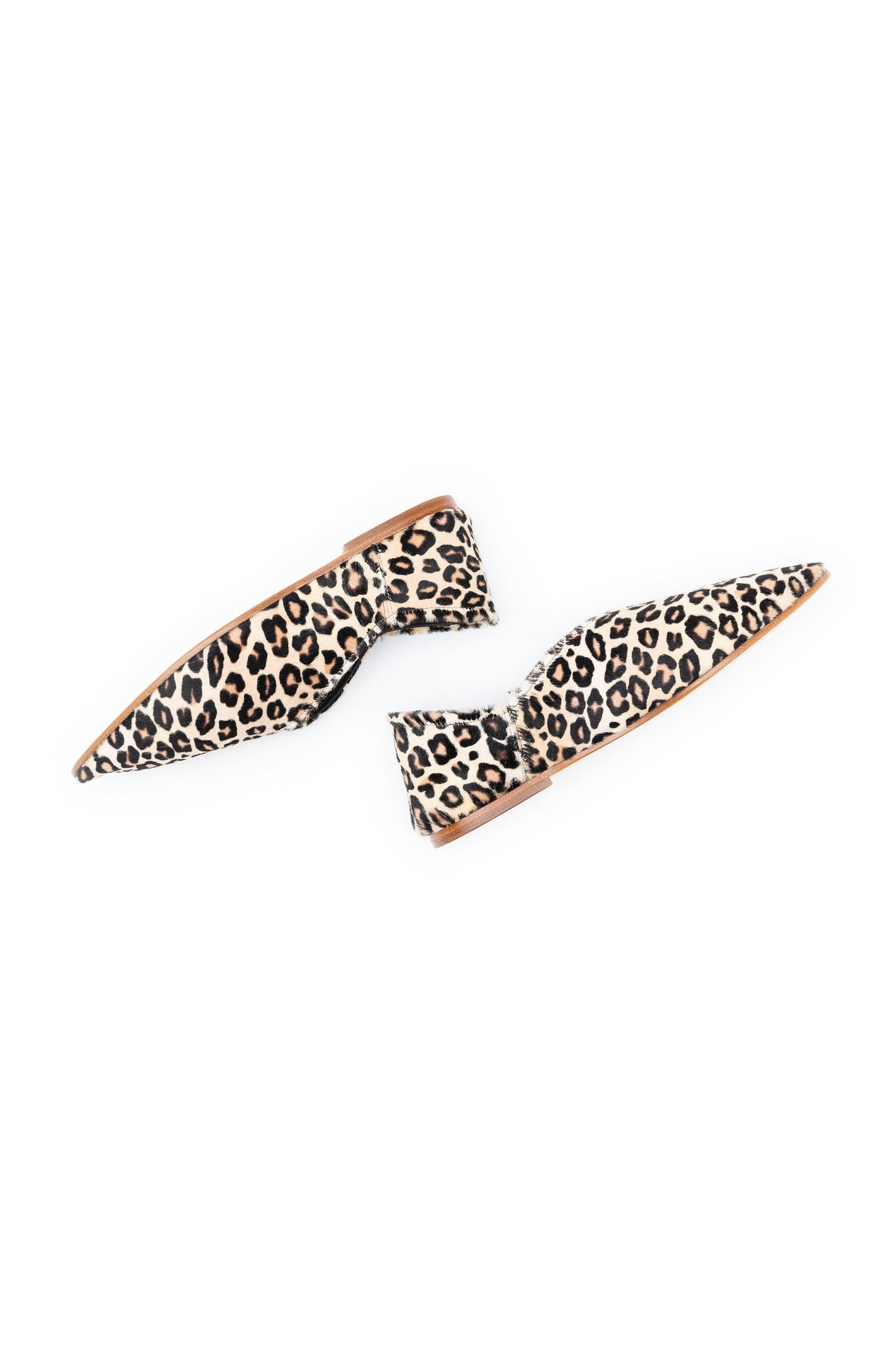 Cavallino Leopardato