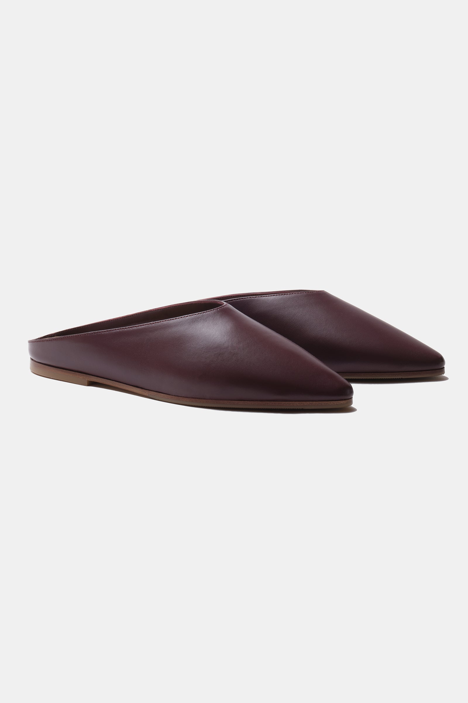 Wine Purple Sabot