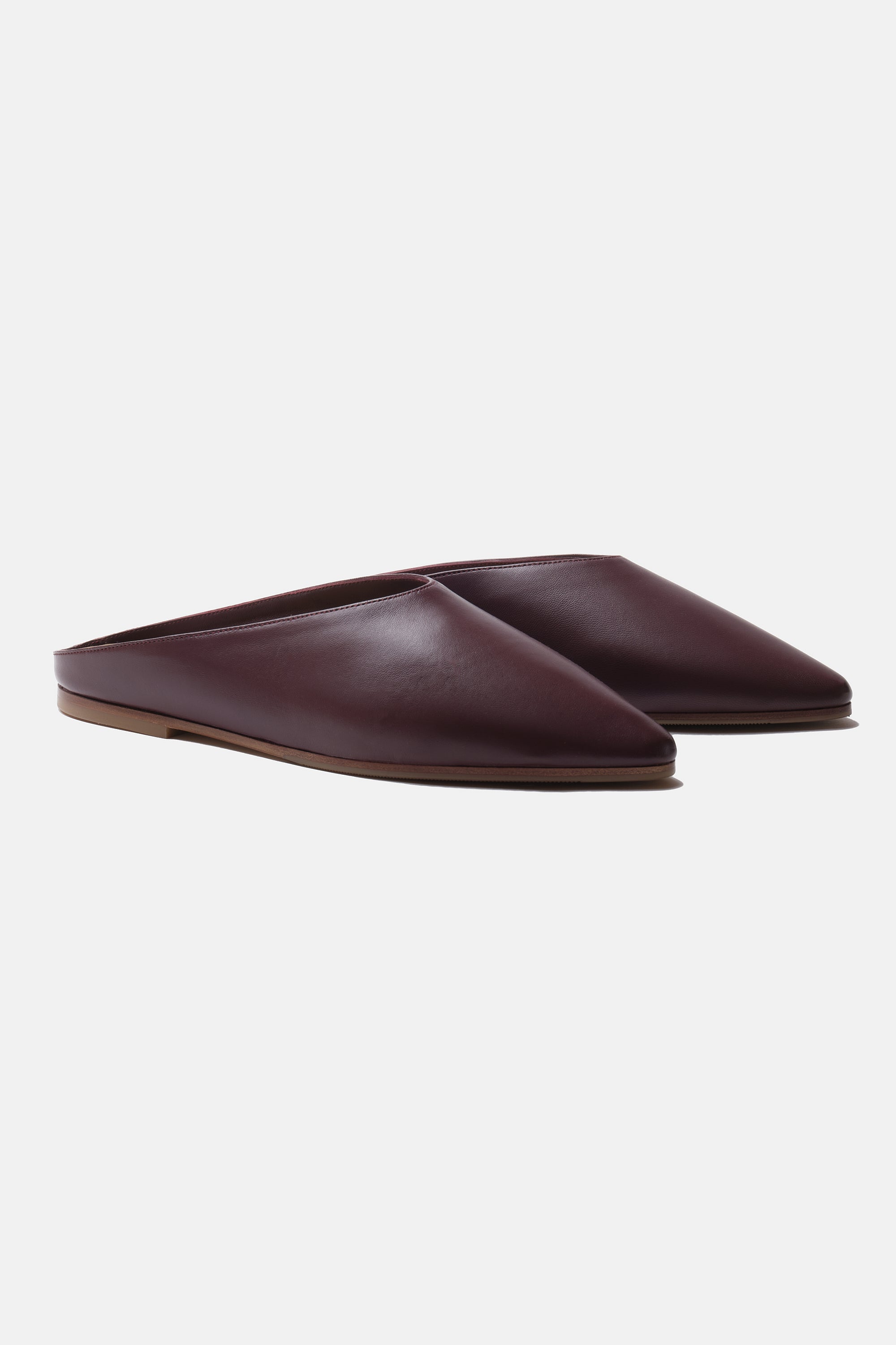 Wine Purple Sabot